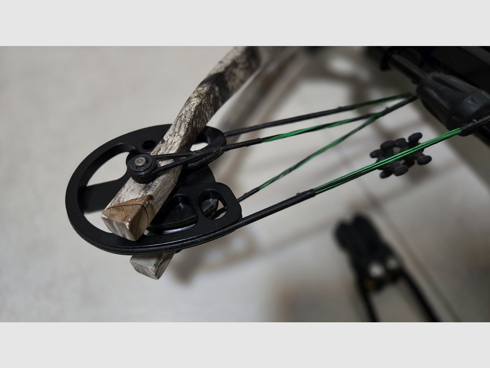 Compound Armbrust Hori-Zone Alpha XT 360 FPS mit optionaler Tenpoint Optik und Easton Carbon Bolzen