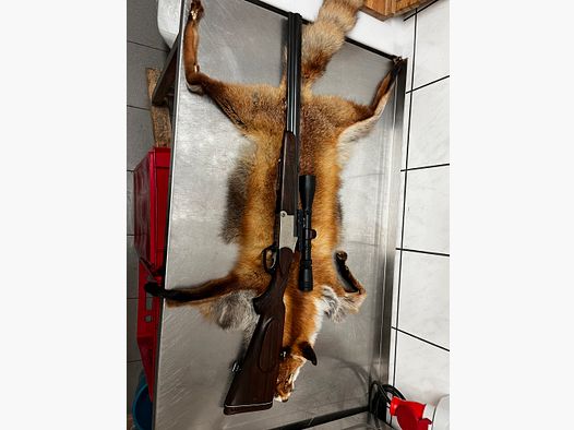 Blaser BBF Bockbüchsflinte 7x57R 16/70 Handspannung Stecher