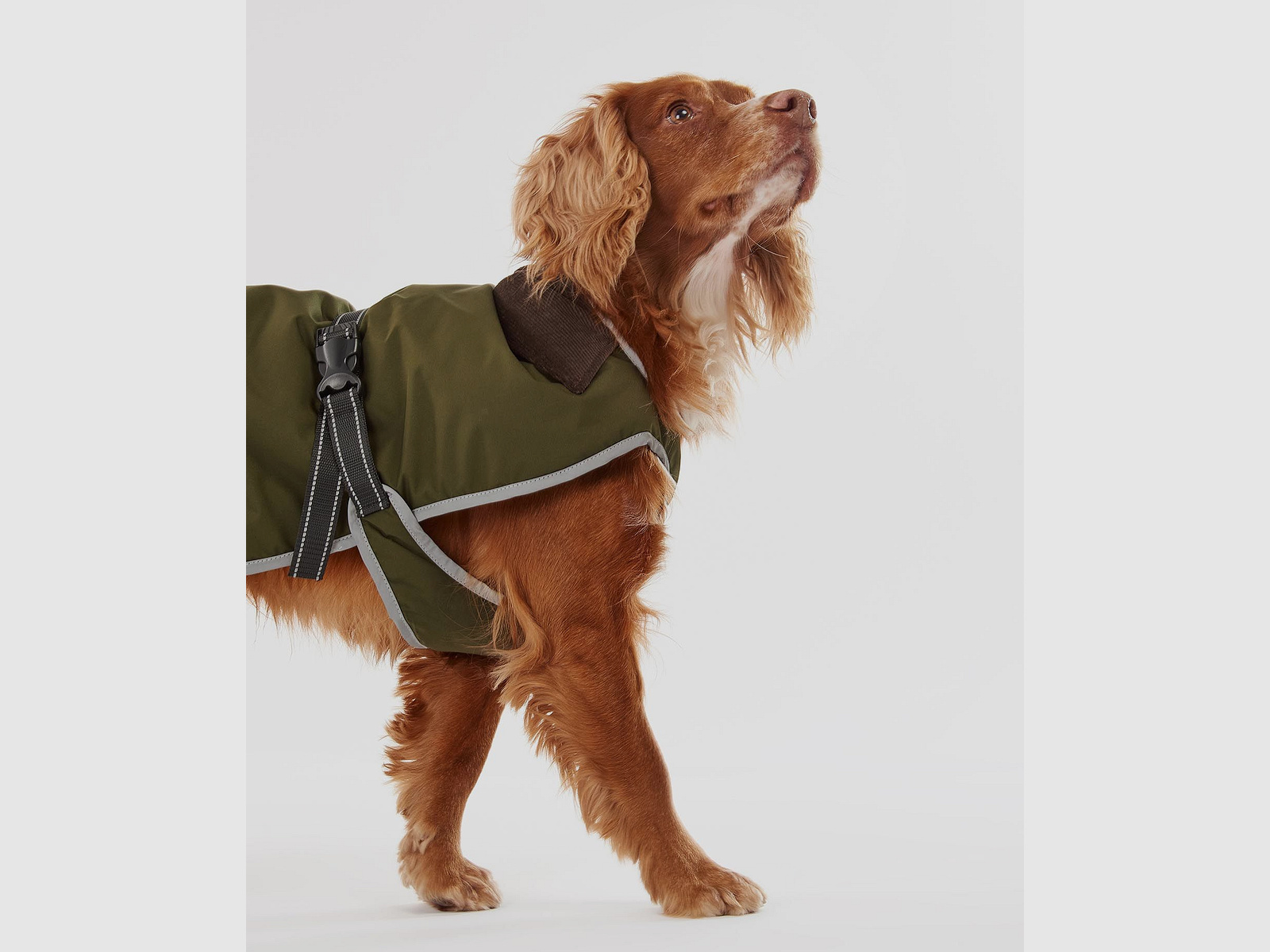 Barbour waterdichte hondenmantel Monmouth