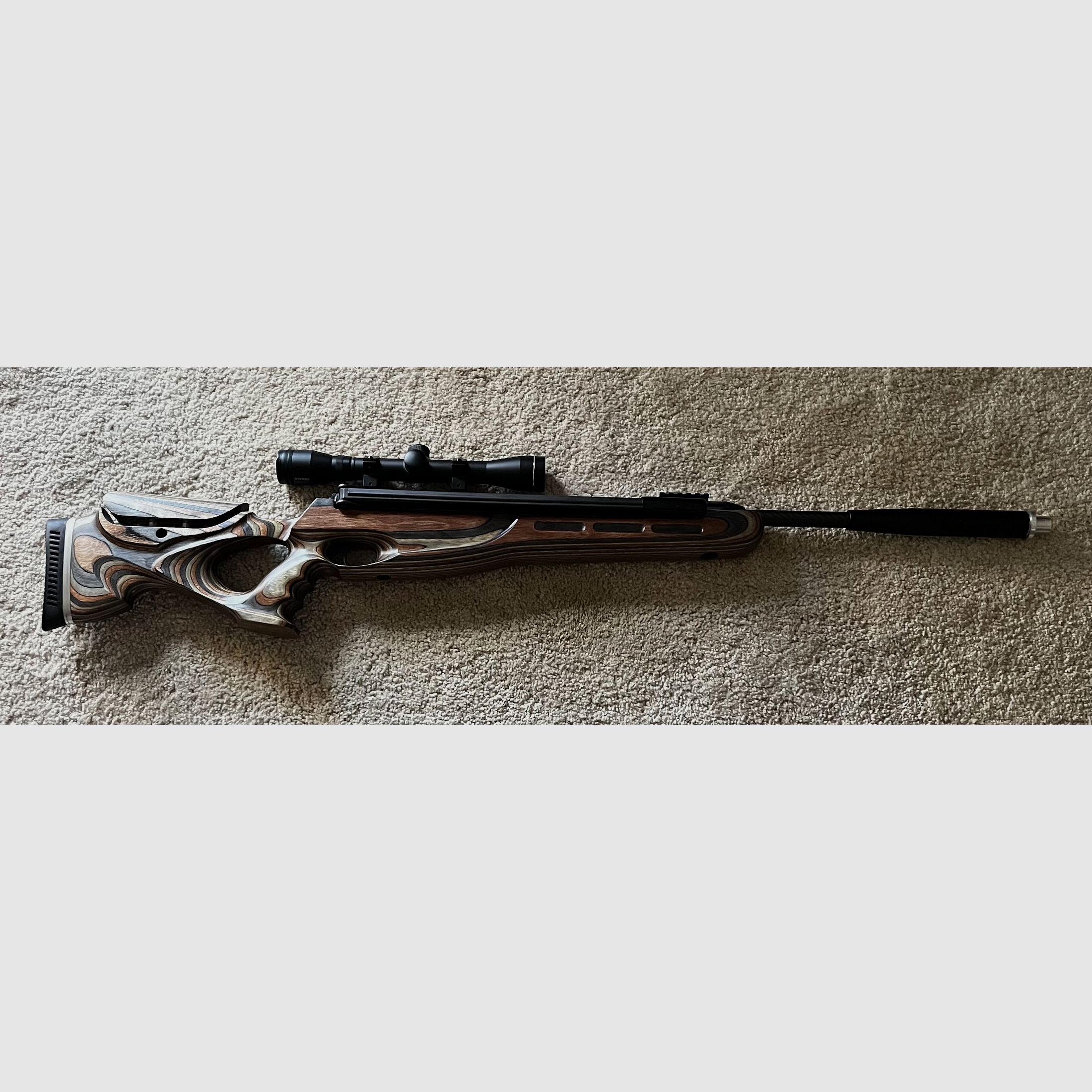 Diana 48 mit Field Target Schaft