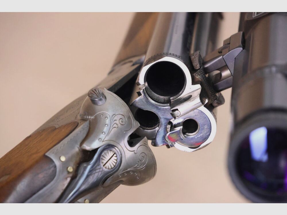 Sauer & Sohn Drilling // mit mündungslangem EL in .22 Hornet! // ZEISS Diavari ZM