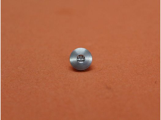 SIG Sauer SIG Sauer X-LINE: 1 pezzo vite di impugnatura Torx argento NIRO (70001450)