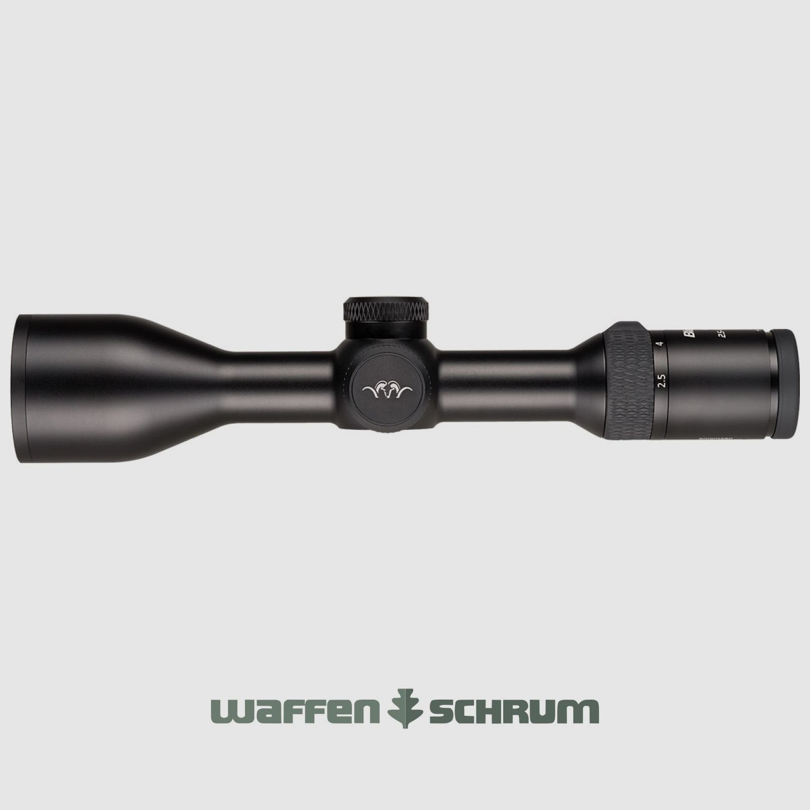 Blaser B2 2,5-15x56 iC S mit Schiene Illumination Control