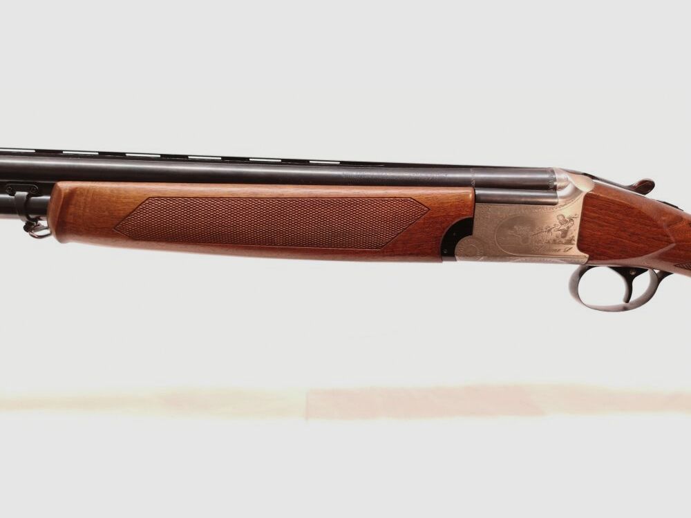 Franchi Alcione (AL)