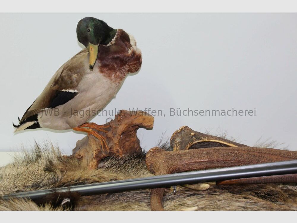 Simson S.A.G Awtowelo Doppelflinte 16/70