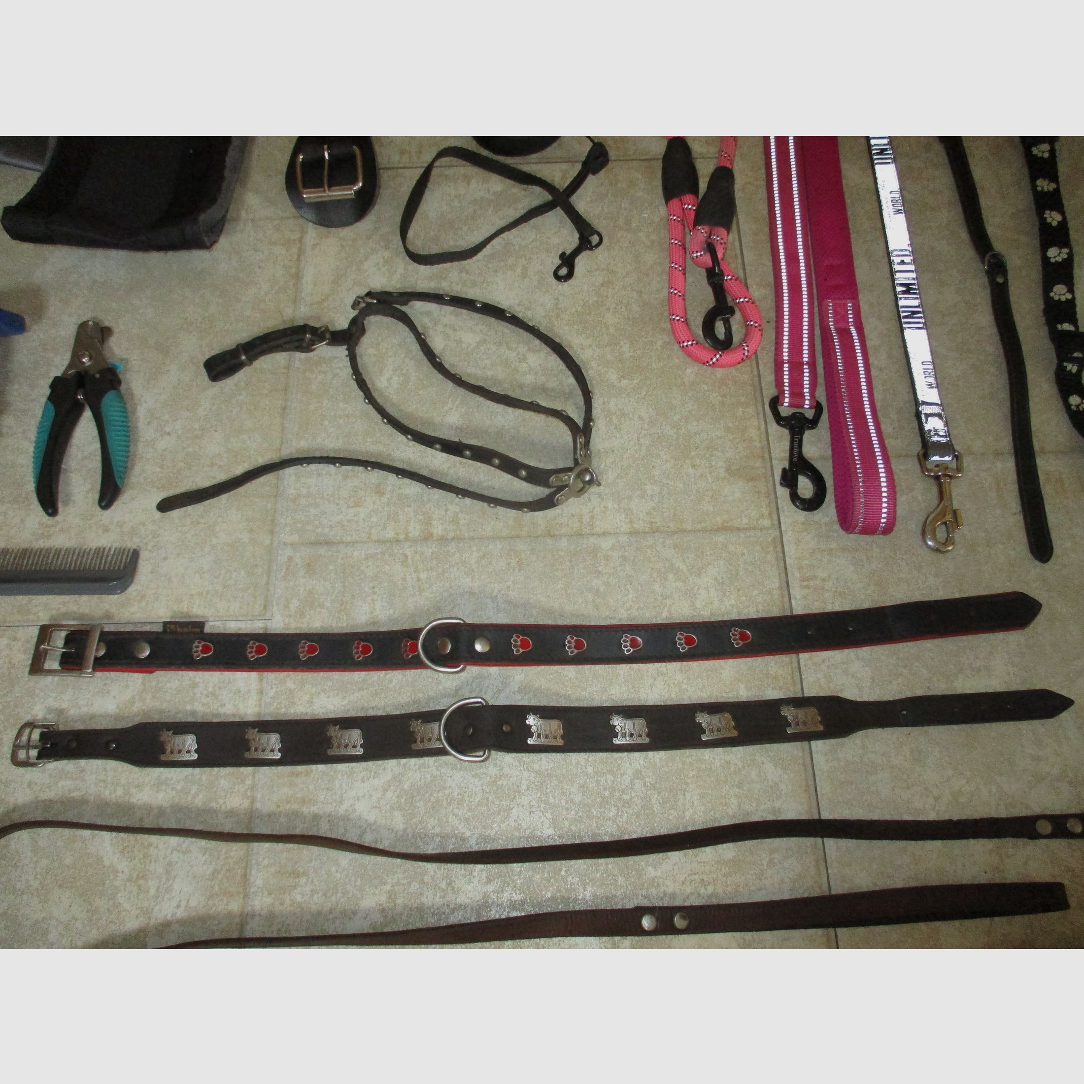 Hundezubehör, Leinen, Halsbänder, Kleidung, Näpfe...