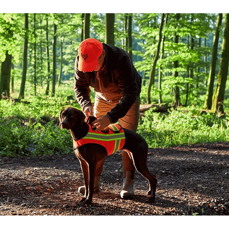 Gilet de signalisation pour chien avec poche pour tracker, image 2 sur 4