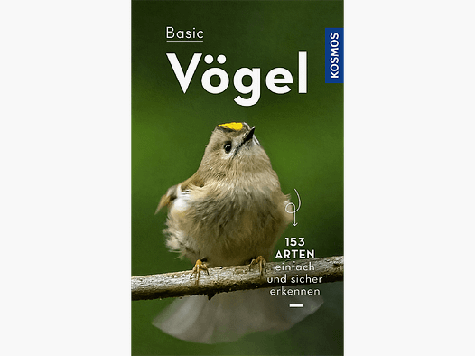 Livre "Oiseaux de Base"
