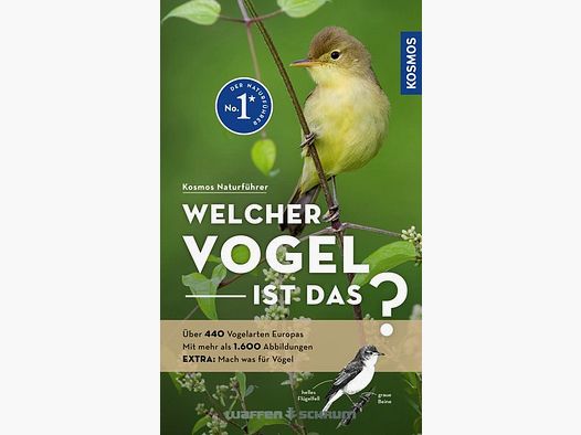 Cosmos Which bird is that? Dierschke