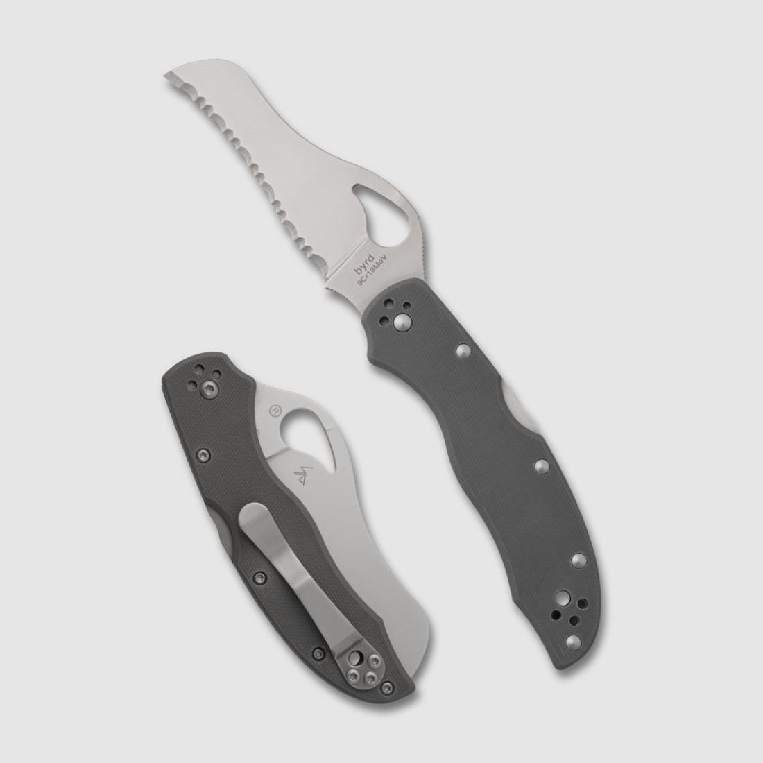 Navaja Spyderco Byrd Gooney Serrado, imagen 1 de 3