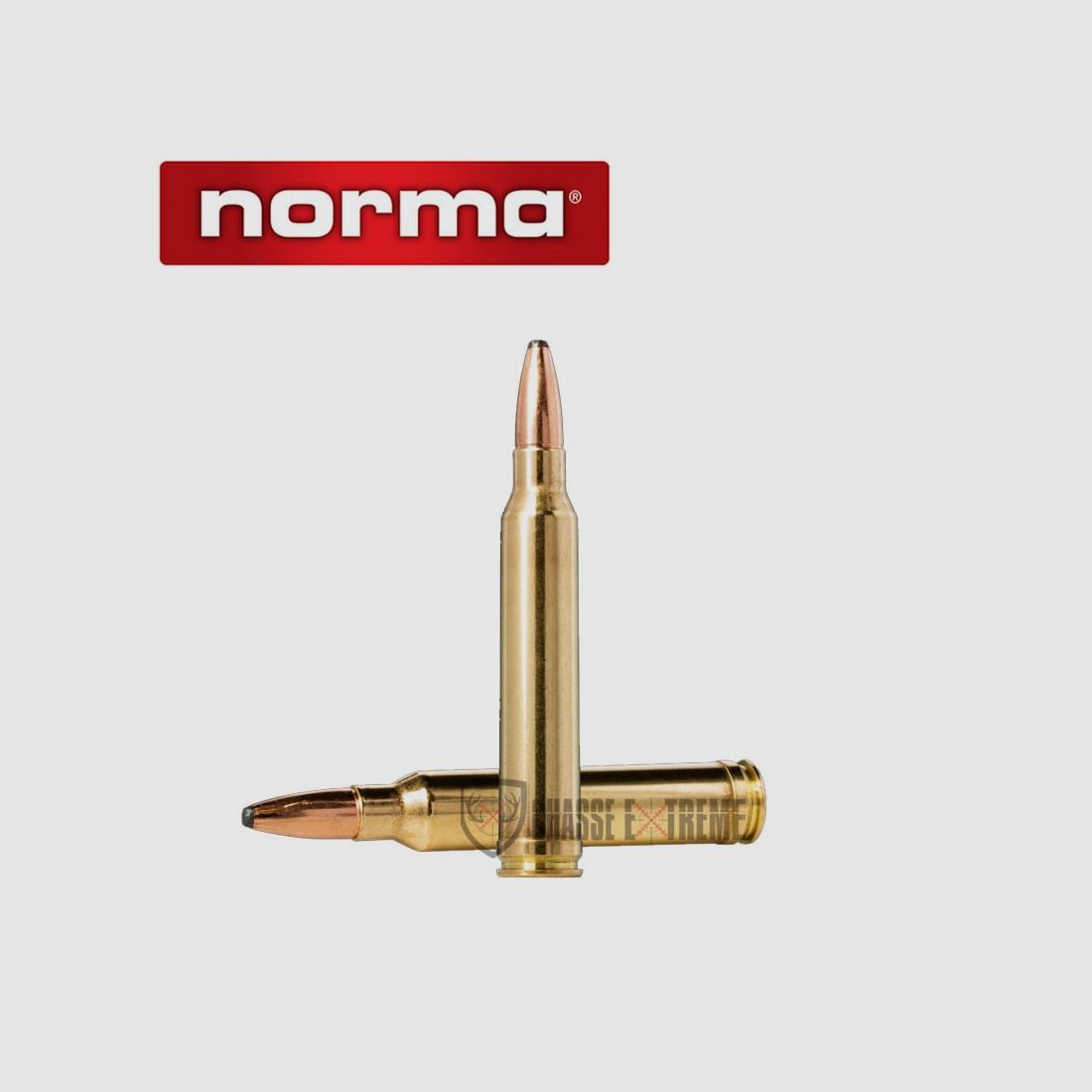 20 Patronen NORMA Kal. 300 Norma Mag 200gr Oryx