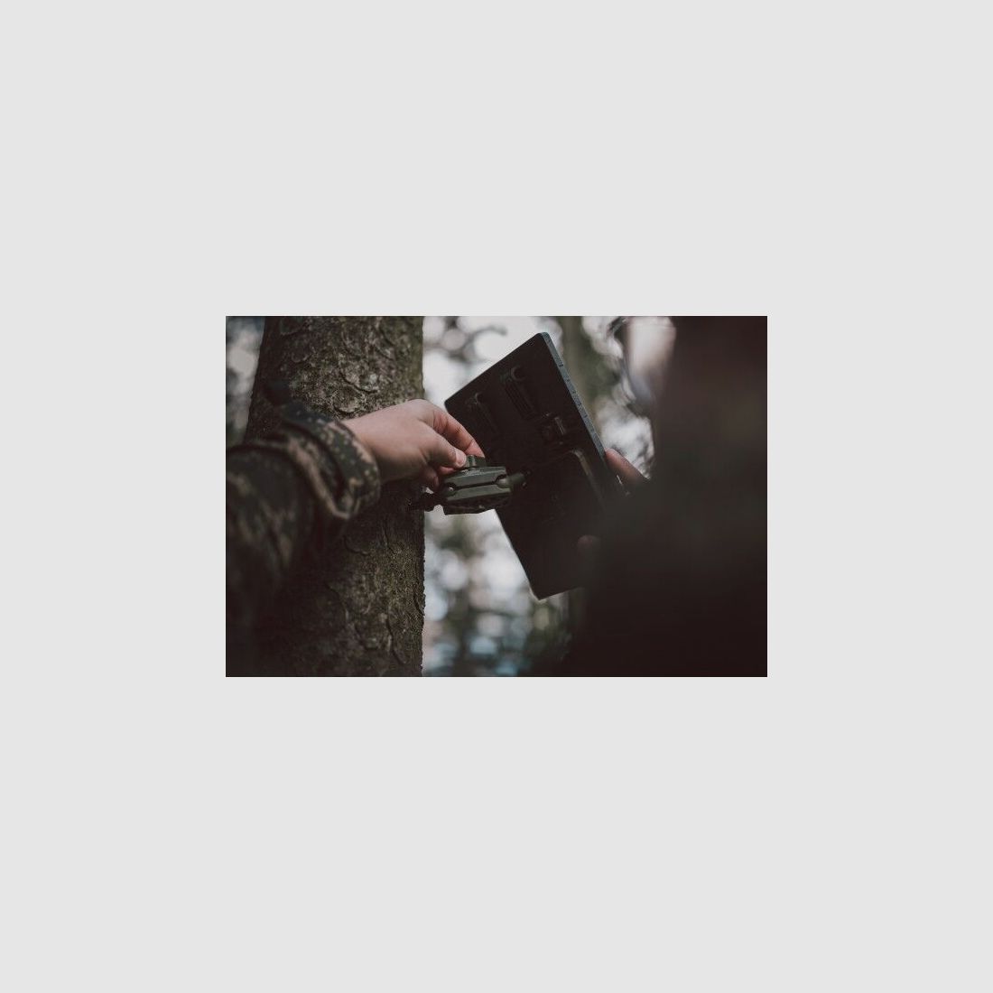 Trípode de árbol de sesenta con juntas esféricas