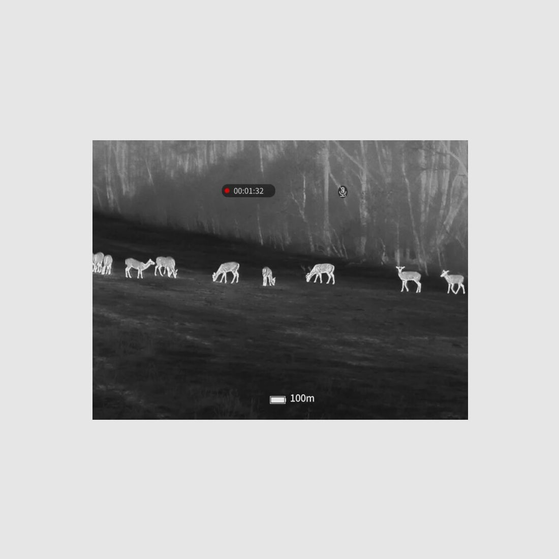 Guide sensmart Wärmebild-Vorsatzgerät Guide TB630 LRF