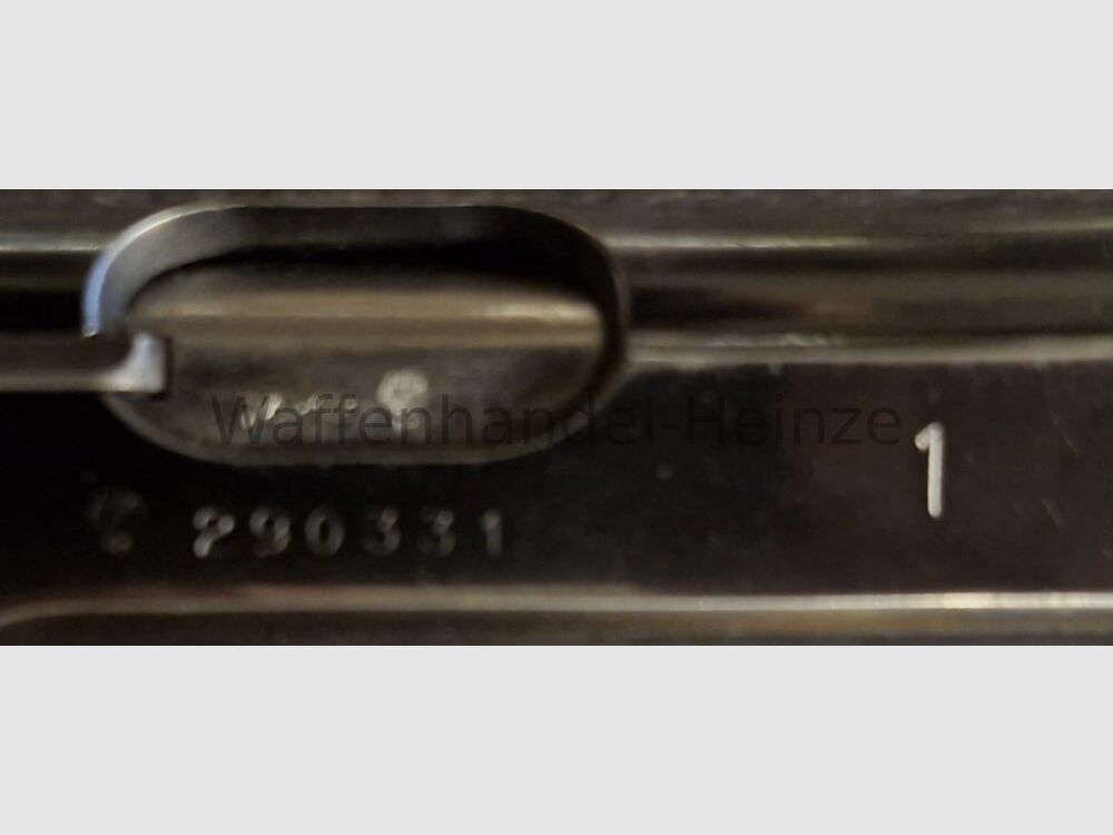 Walther PPK/S