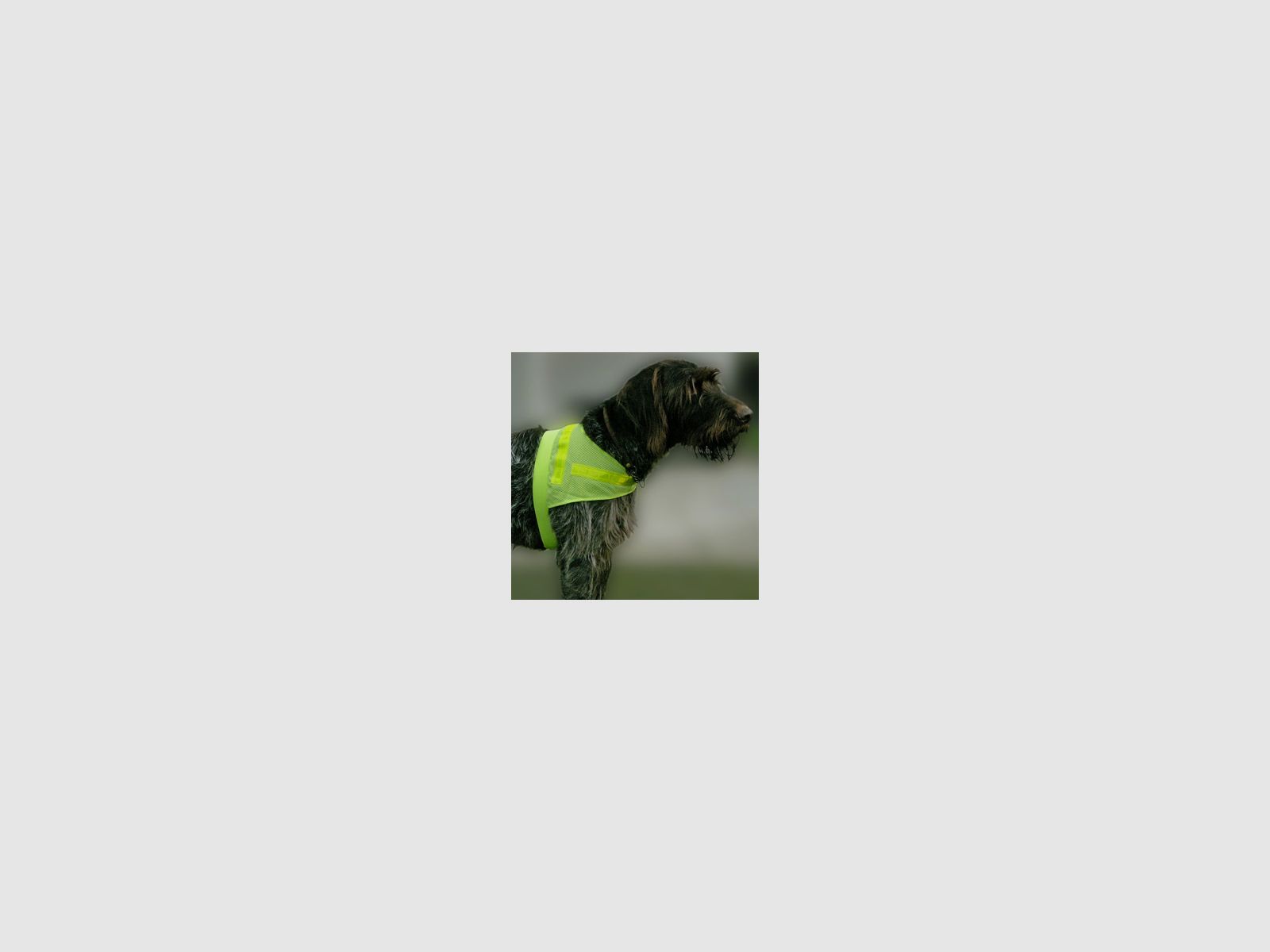 Hunde-Sicherheitsweste "Scotchlite"