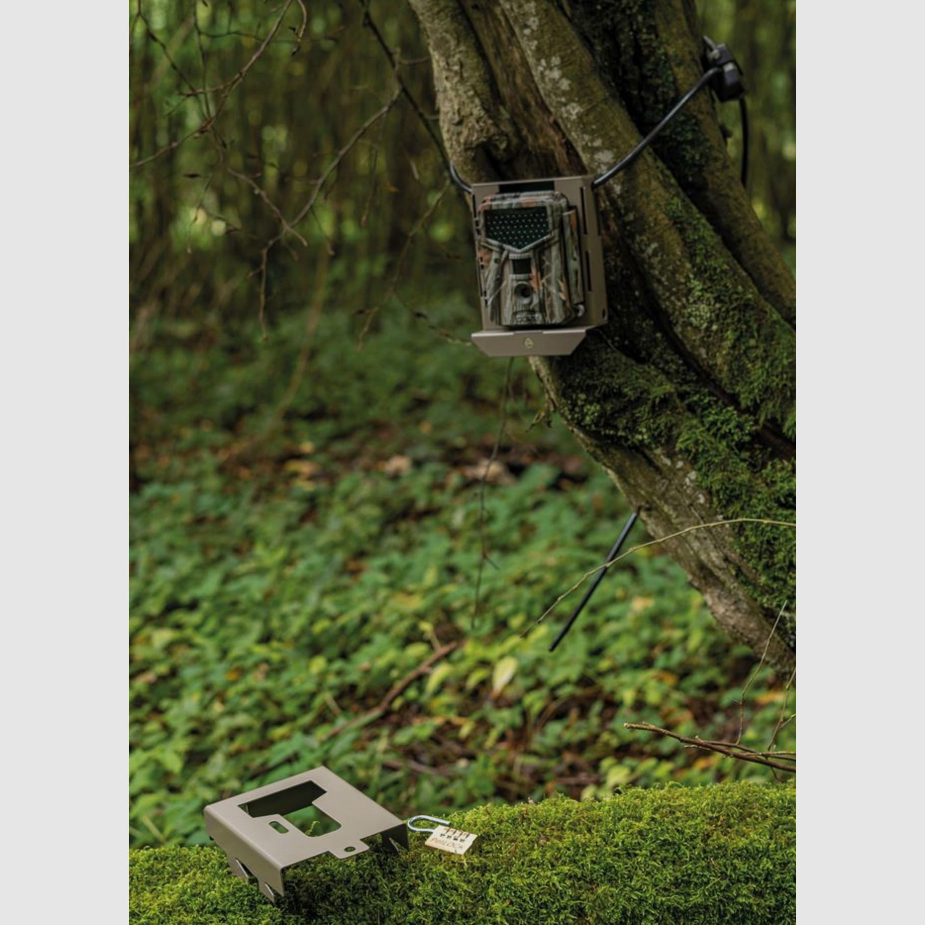 DÖRR 204410 Überwachungskamera Snapshot Extra Black 12.0i HD