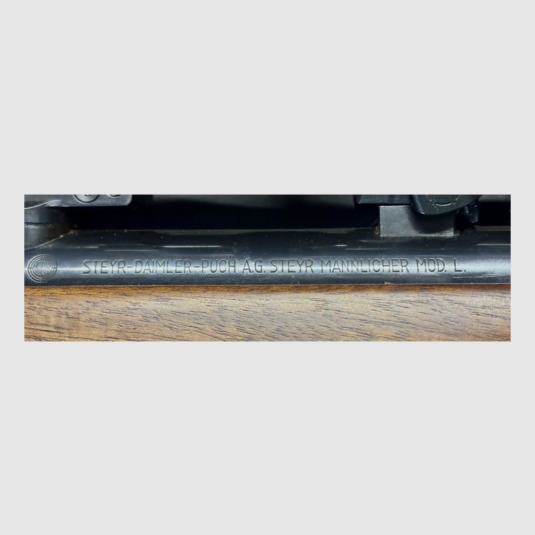 Steyr Mannlicher L .243Win