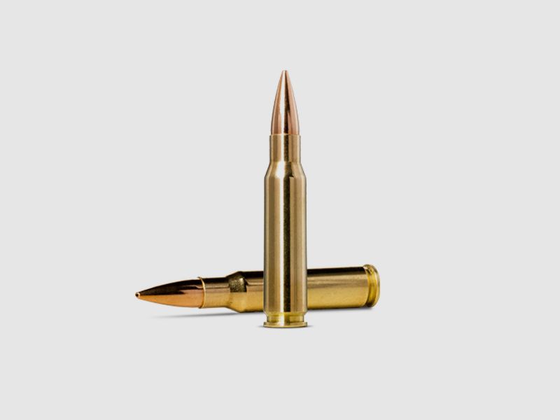 Norma Golden Target 6.5×55 9.27g, immagine 2 di 2