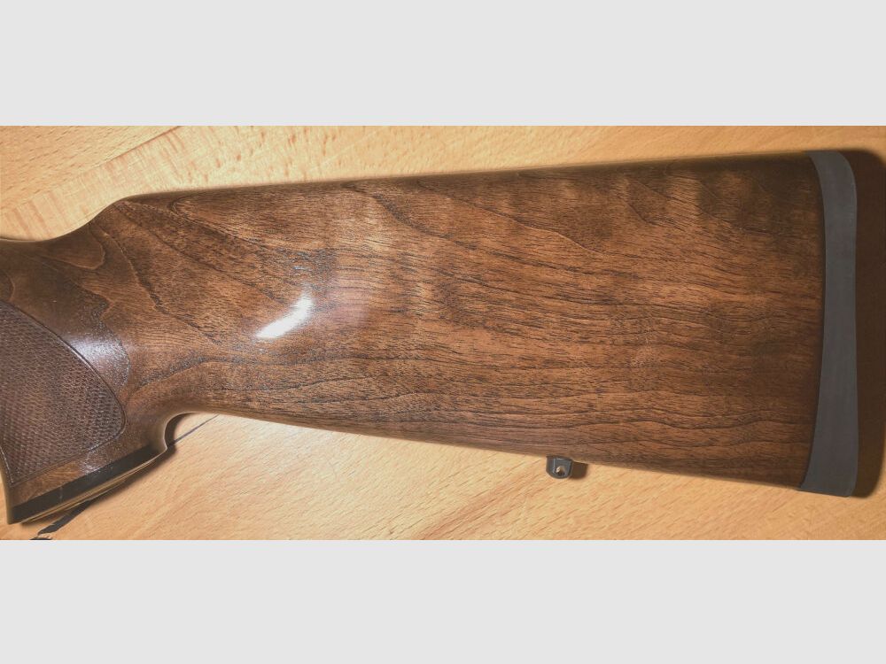 Sauer / DDoptics 101 Classic con 2,5-15x50