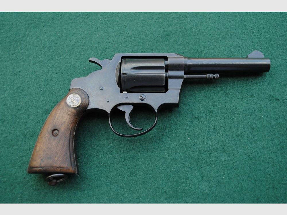 Colt Police Positive Special, Royal Hong Kong Police