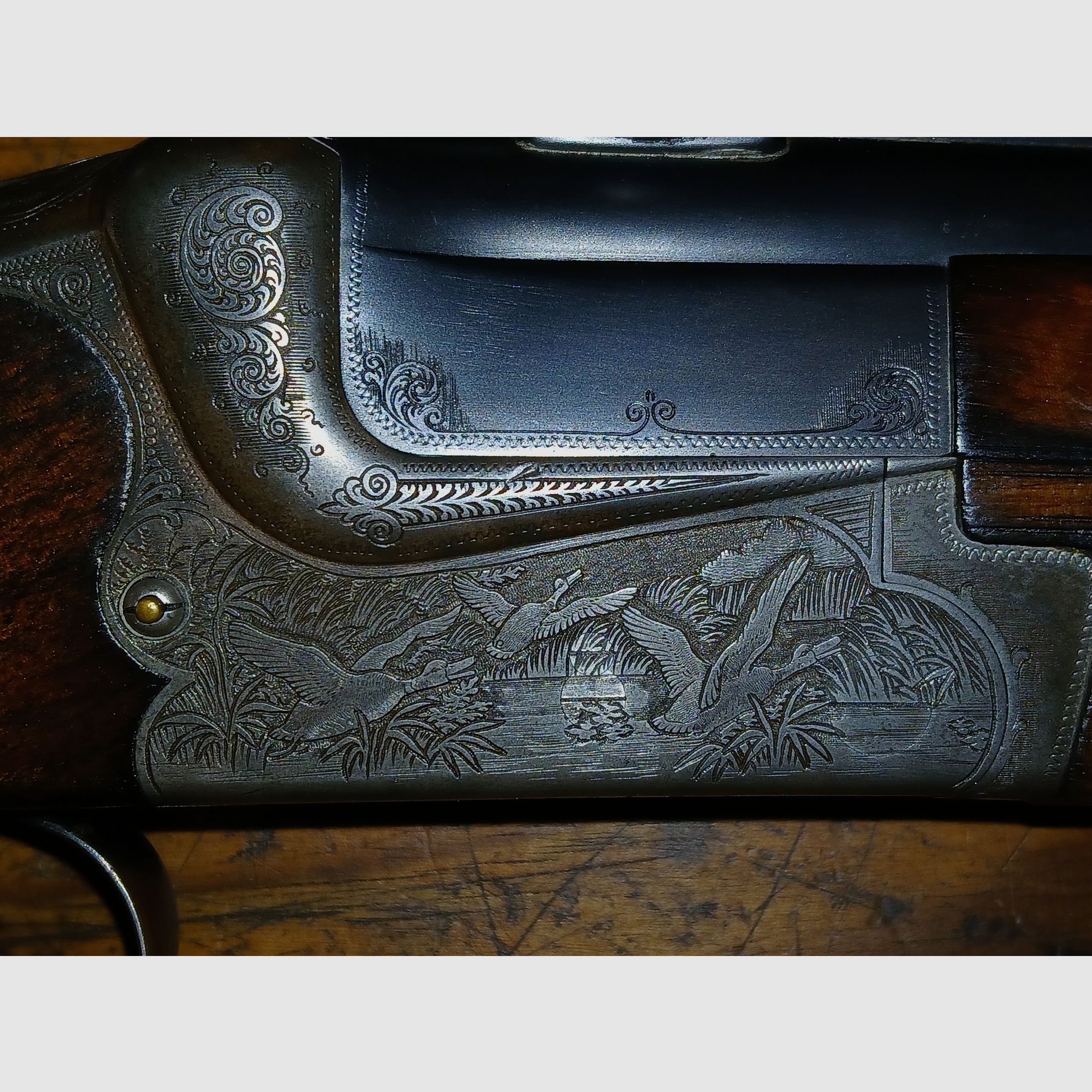 exquisite Merkel Bockbüchsflinte mit Bockdoppelflintenaustauschlauf in Top Kalibern