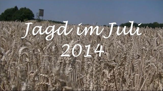 Jagd Juli 2014