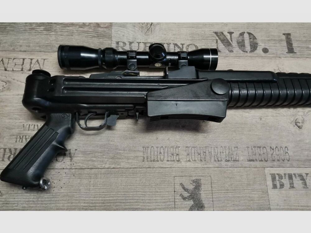 Ruger Mini 14 .223Rem