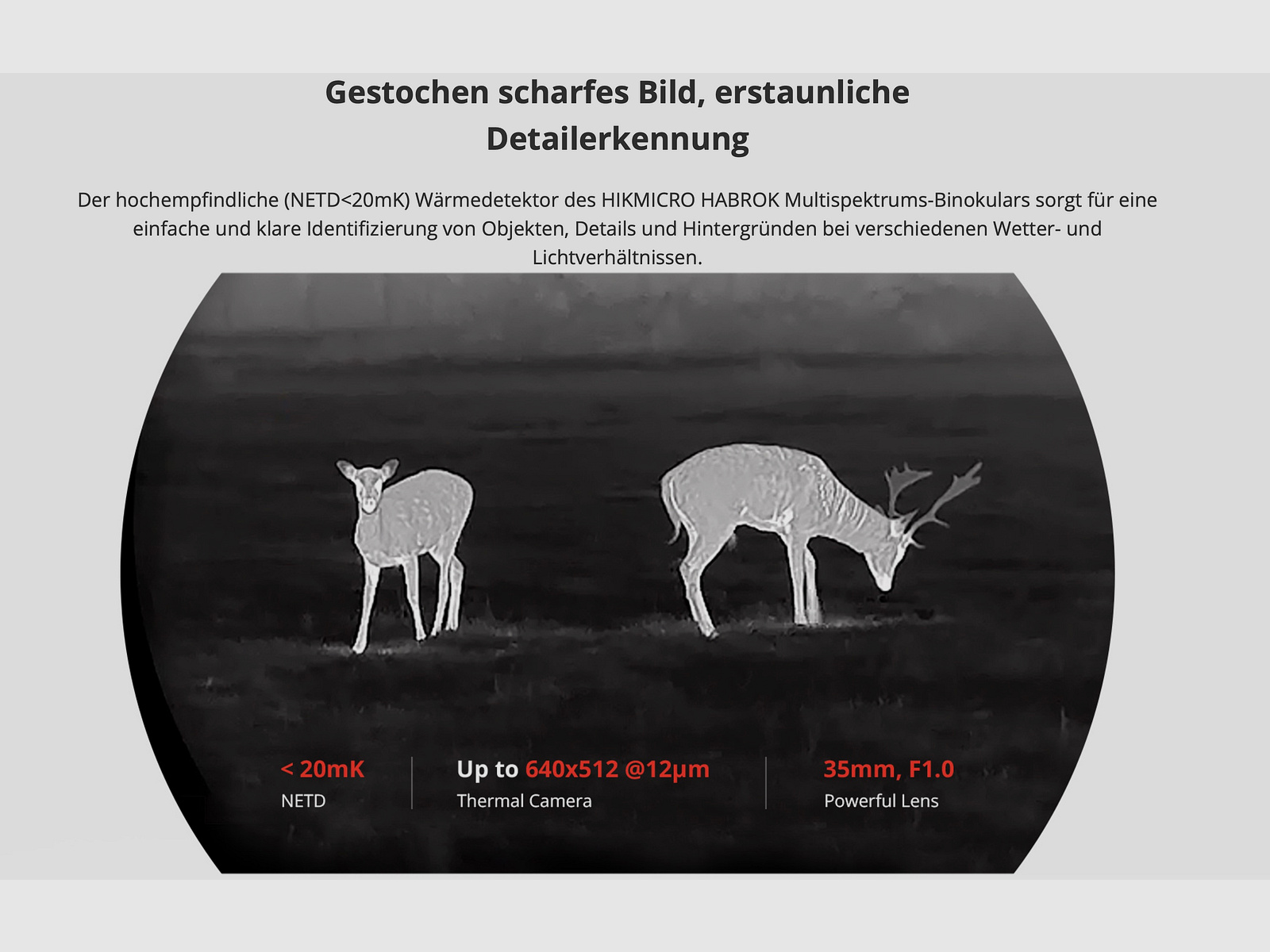 Hikmicro Binocular Habrok HQ35L imagen térmica/visión nocturna/cámara digital 850Nm 2560 x 1440