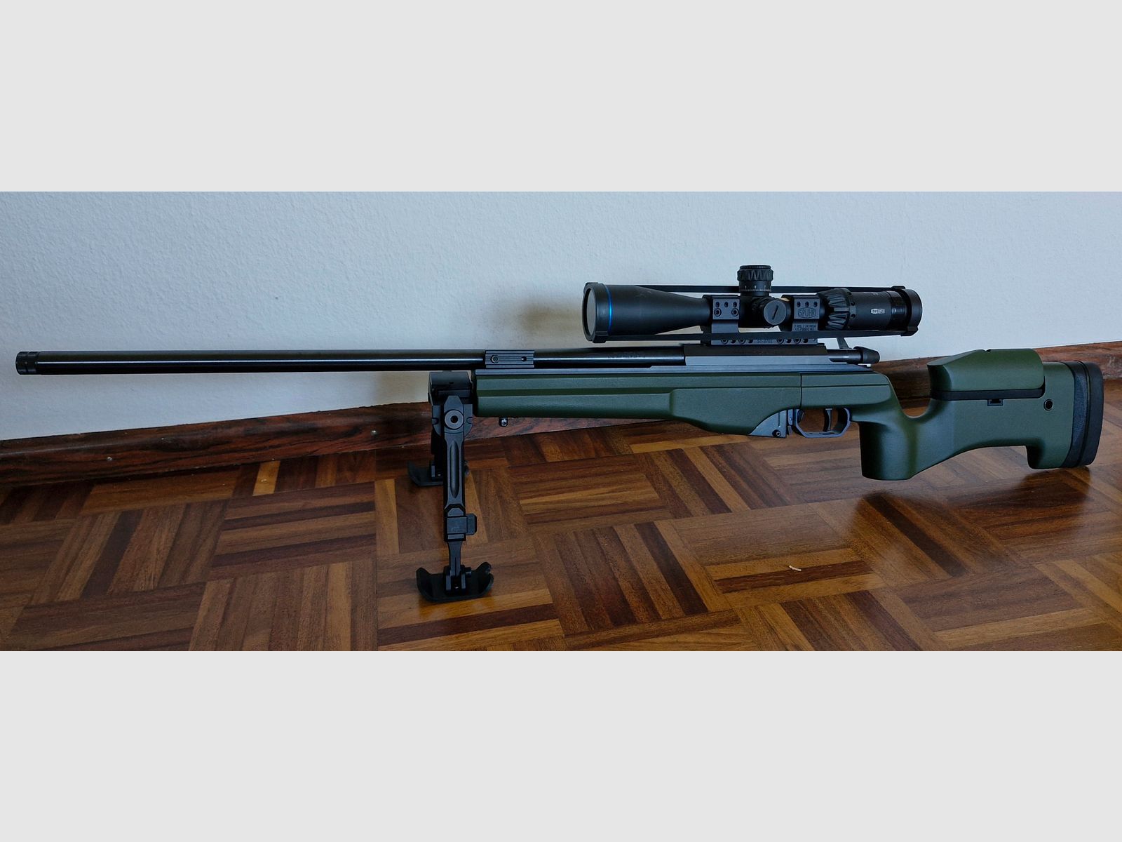 Sako TRG 22 verde 308