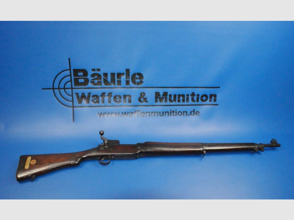 Eddystone P14 .303Brit