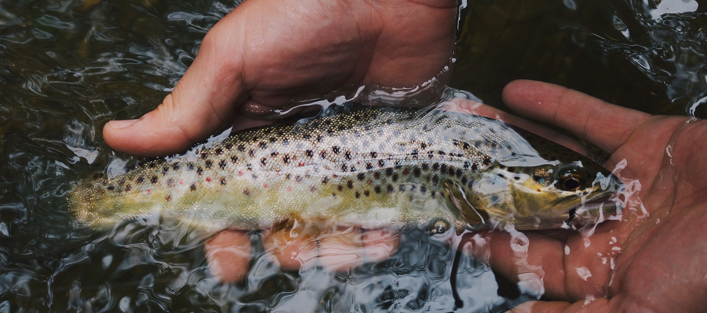 Fishing Vacation for Beginners: The Best Destinations for Aspiring Anglers