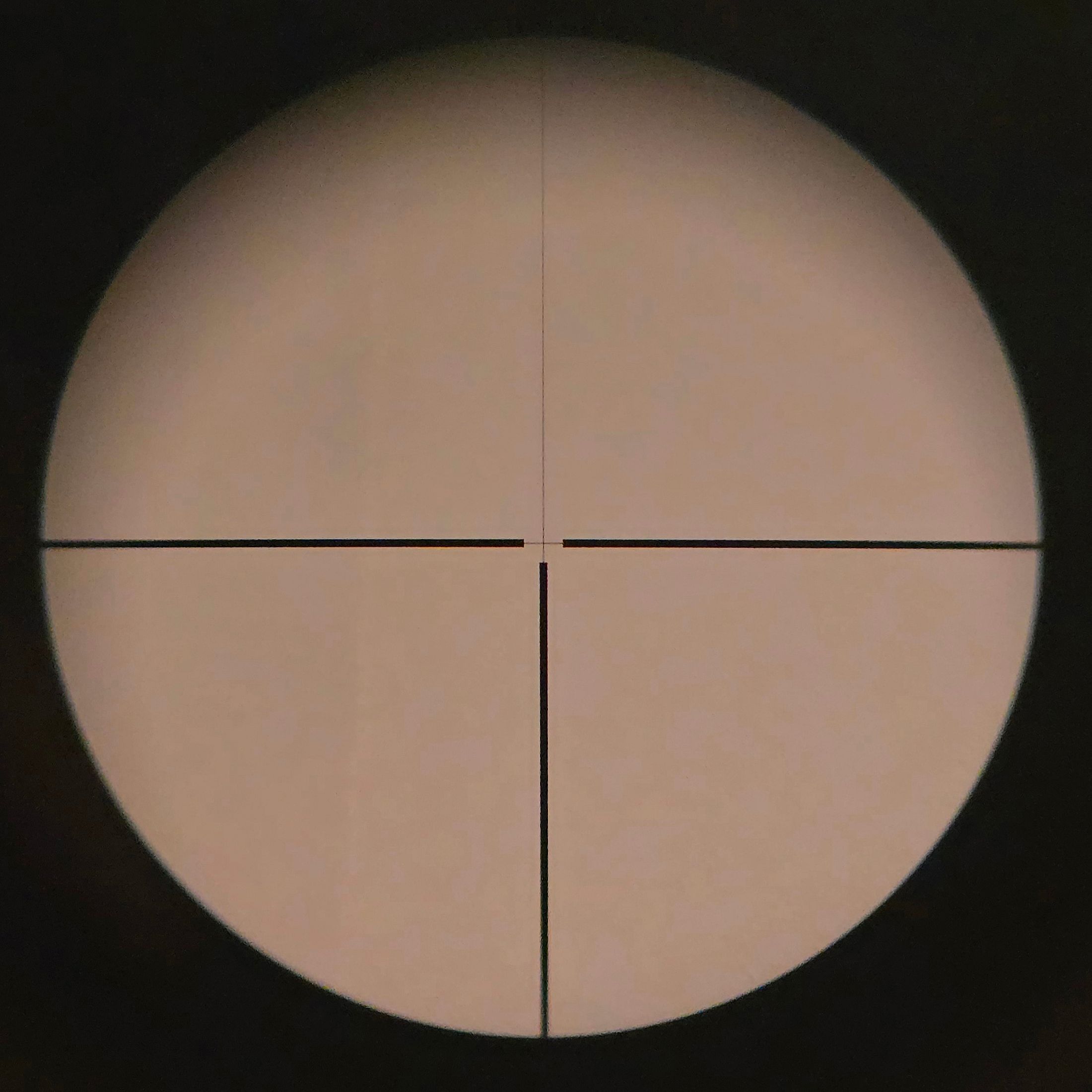 Zeiss Diavari 1.5-6x42 T* (Reticle 8, 1st focal plane) with Zeiss internal rail