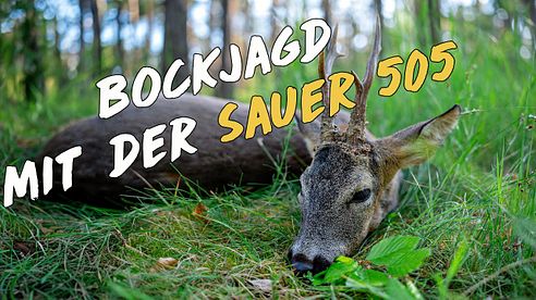 Bockjagd mit der NEUEN Sauer 505