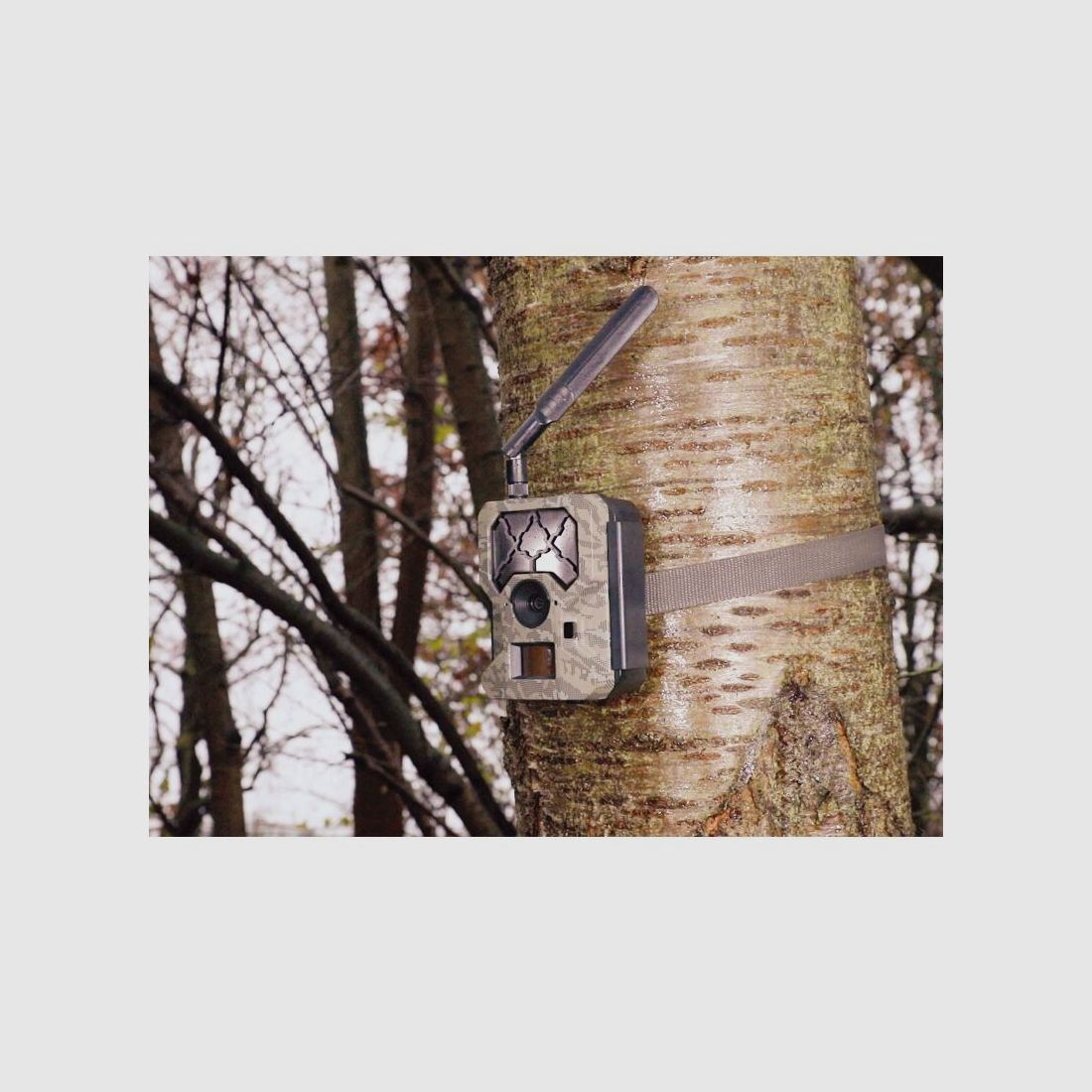 ICUserver CLOM Cam-S Funk Wildkamera Starterset (2x Cam-S + 4 Akkus +Ladegerät)