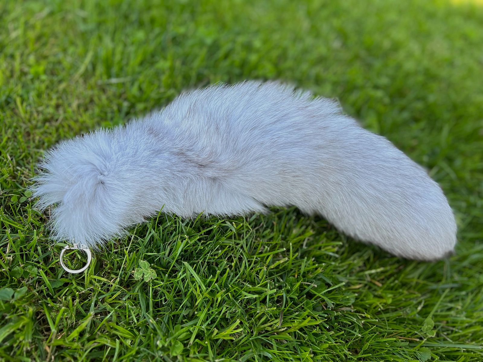 Genuine Arctic Fox Tail with Keychain