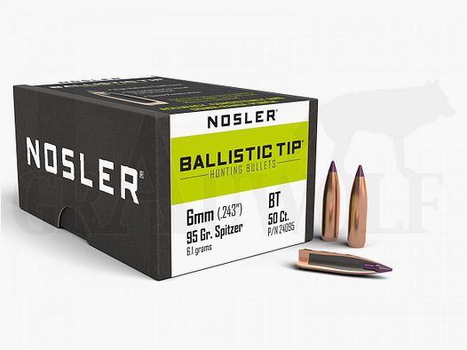 .243 / 6 mm 95 gr / 6,2 g Nosler Ballistic Tip Balas 50 piezas