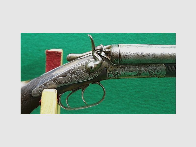 Double shotgun / hammer double shotgun