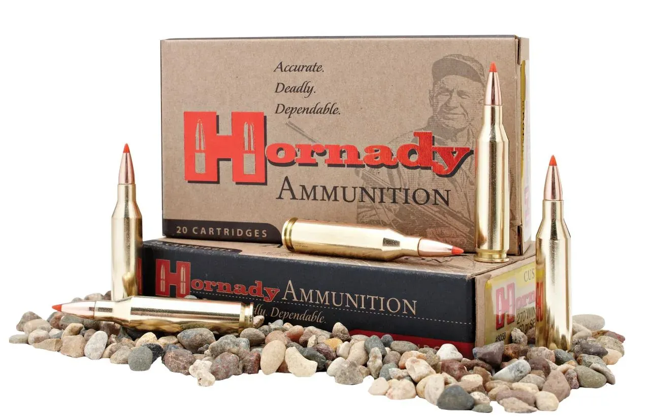 Hornady Custom .300 Blackout 110 gr CX – 20 pz.