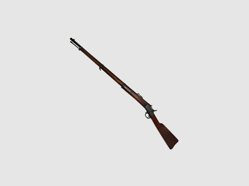 M1867 Sweden Military, image 2 sur 4