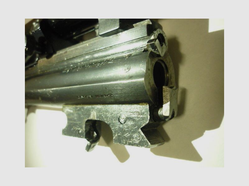 Savage Mod. 24 DL