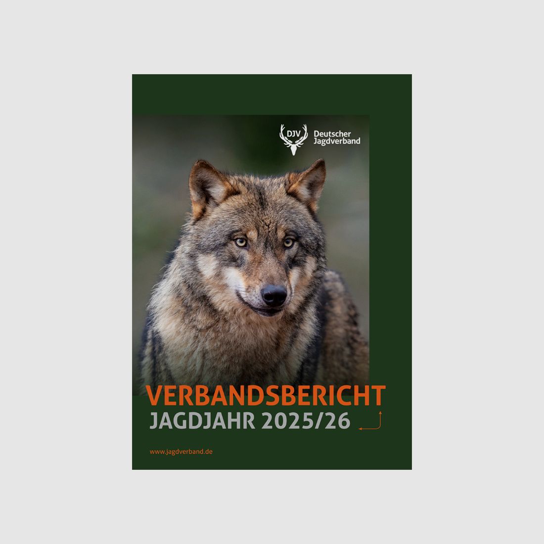 DJV Association Report 2025/2026