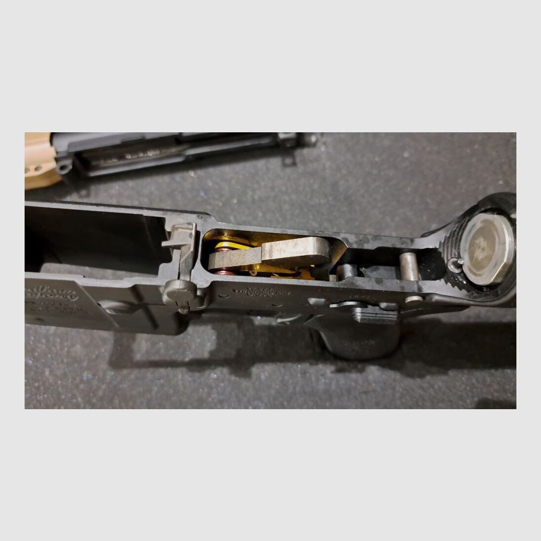 Windham Weaponry WW-15, image 5 sur 5