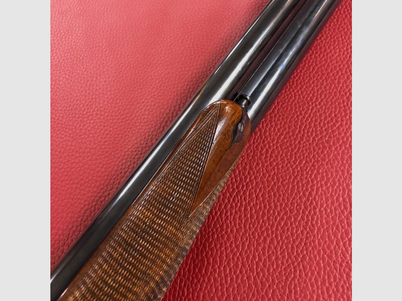 Bernardelli Elio, Bild 6 von 8