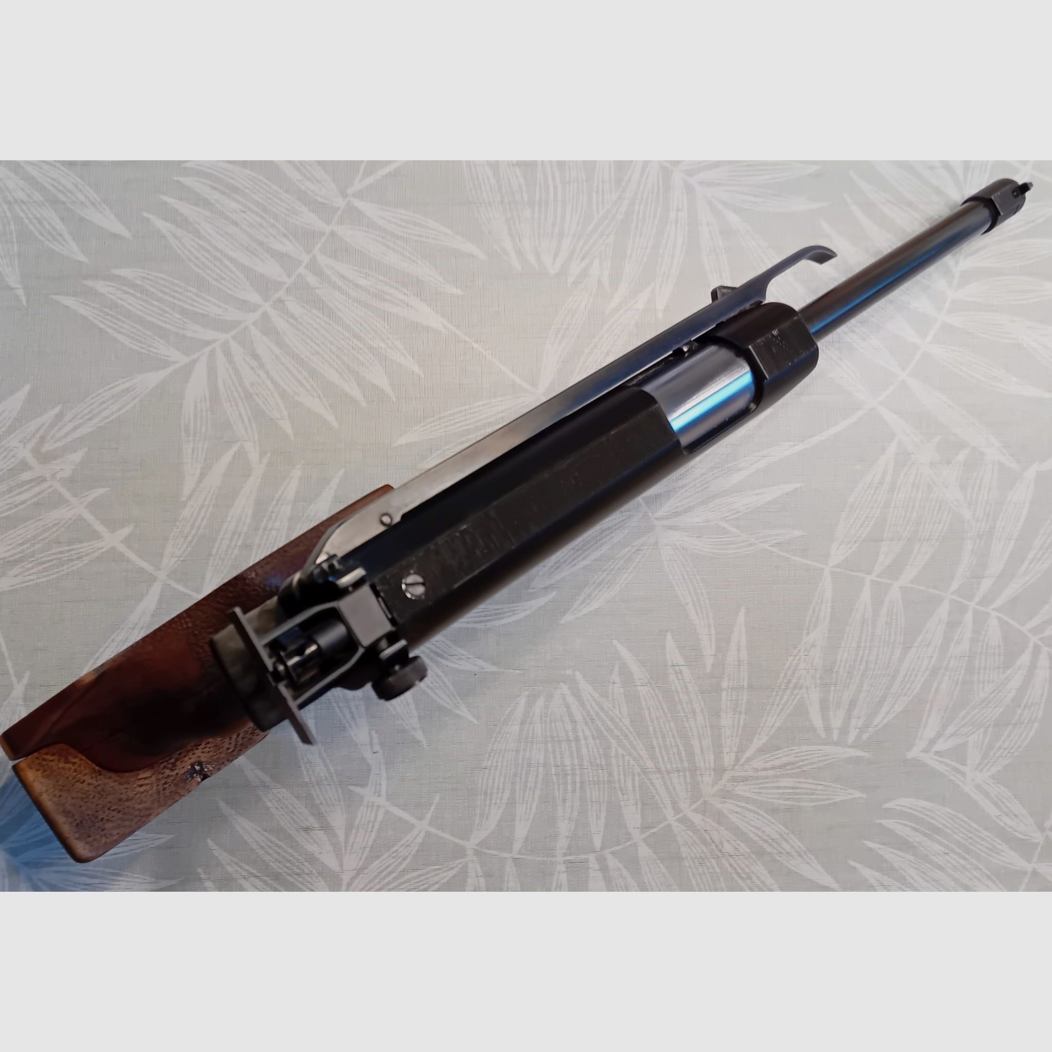 Feinwerkbau Modell 65