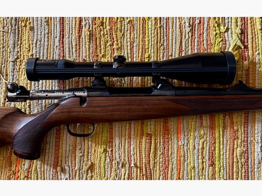 Sauer 90 30-06