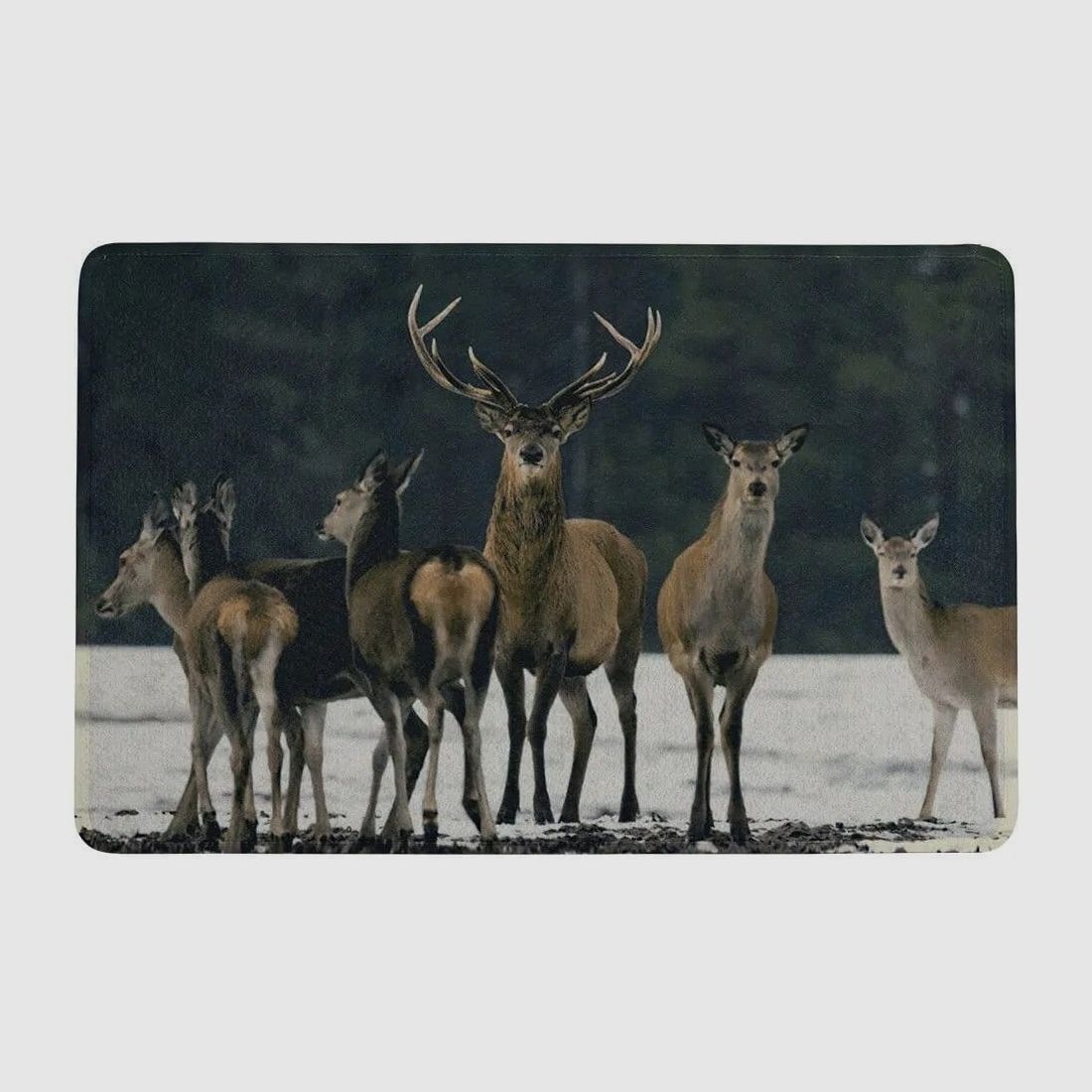 Felpudo LivingActive nieve manada ciervos 75x50 cm