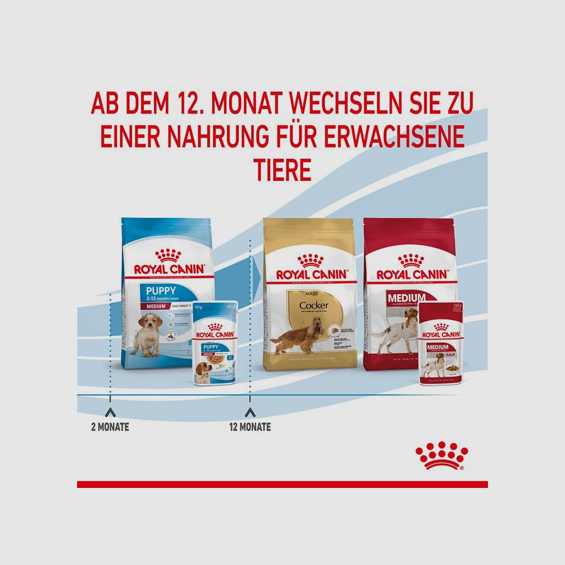 ROYAL CANIN Mittelgroße Hunde Nassfutter Welpen bis zum 12. Monat 10x140 g
