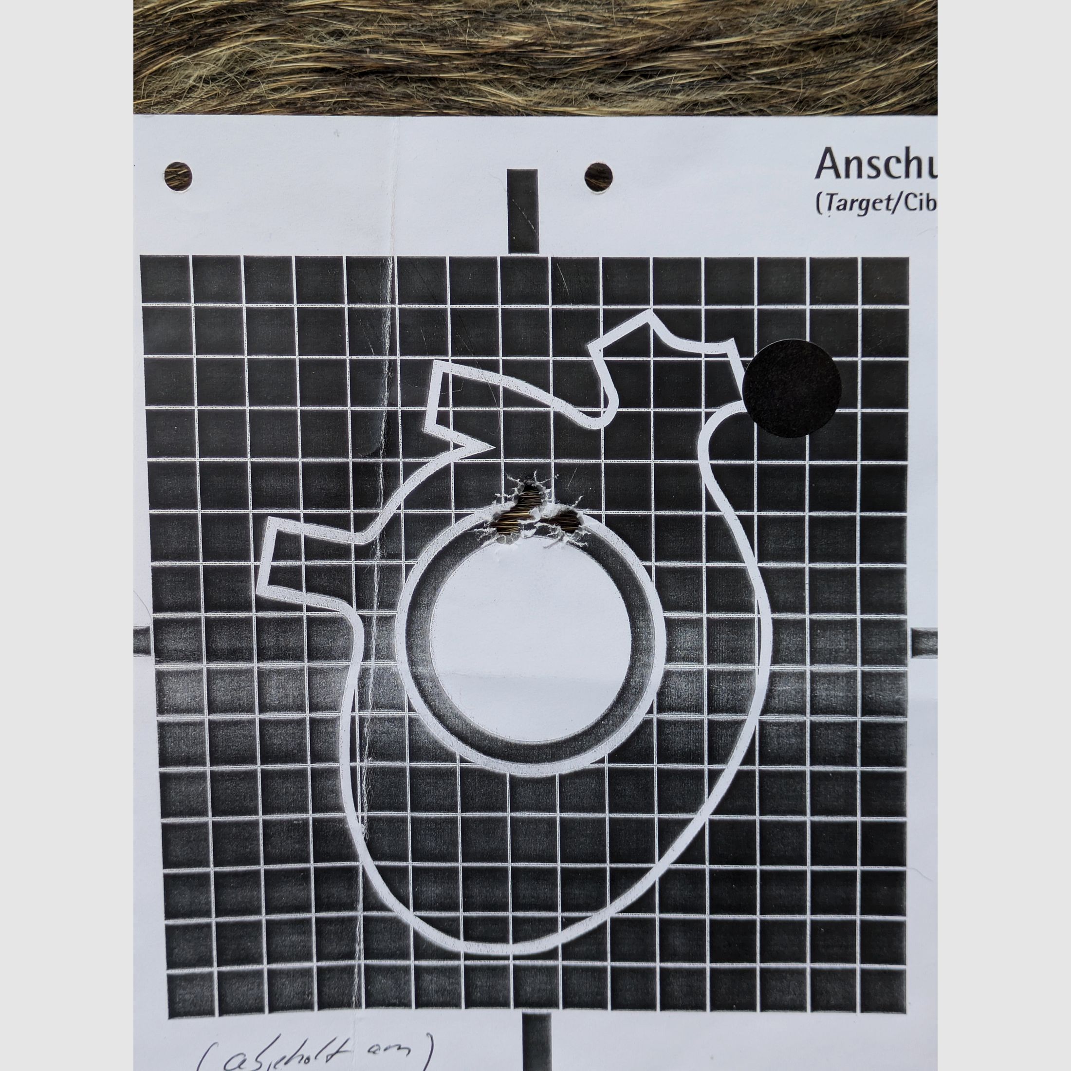 Weatherby Mark V (7 mm Magnum)