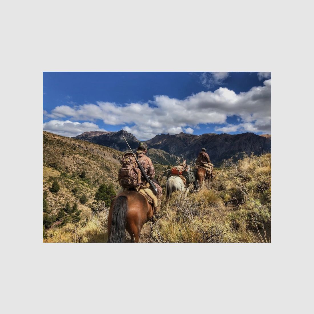 Auf starke Rothirsche in Patagonien! Eine fantastische Jagd!