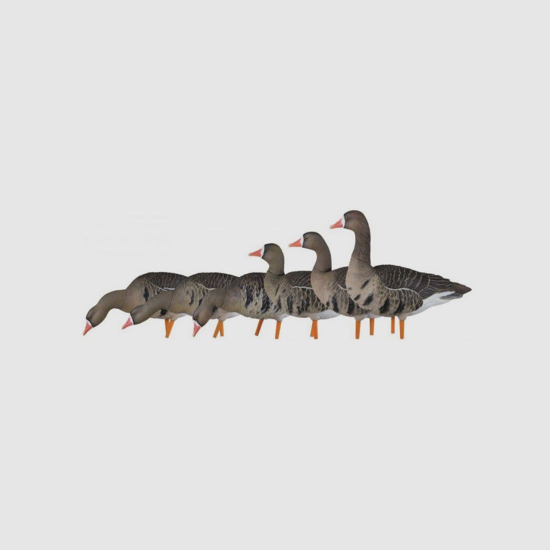 KIT Formen Avian-X Gans Lombardella Full Body 9014, Bild 2 von 5